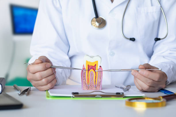Best Emergency Orthodontic Repairs in Iota, LA
